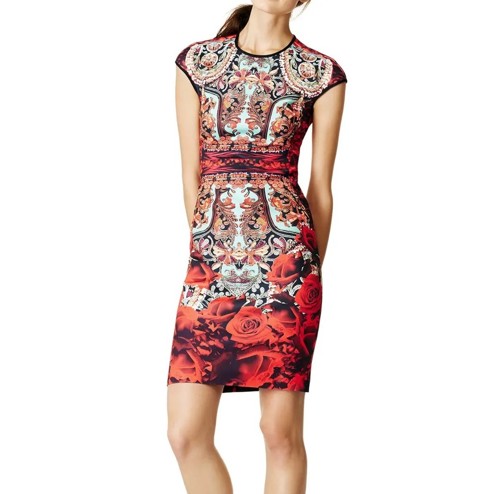 Clover Canyon Rose Matador Dress Size Medium